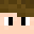 Trixtzav's head