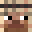 Velogra's head
