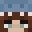 dwopper's head