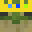 ItzRealFroggy's head