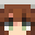 Sauer303's head
