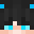 VelinYT's head