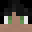 StreetShade's head