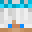 JesterDoesMining's head
