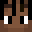 Vex12341's head