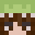 doraisslay's head