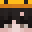 EinSteinKopf's head