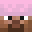TomatoSoppa's head