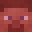 fgdgfdfdcv's head