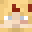Niccolord's head