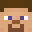 steve2024's head