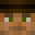 MrBeeaar_'s head