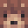 ToadTheTrue's head