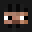 BZC's head