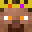 BendeMedve11's head