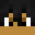 Dracobi's head