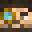 LogicalMaximus's head