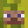 Harbust's head
