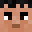 Dasyure's head