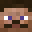 TERPig's head