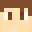 Hodex's head