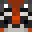 FireRaccon's head