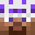 _Frilled's head