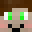 Thisguy8009's head