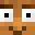 steeljokis's head