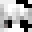Tamepiranha's head