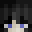 swifttness's head