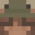 GoodTimeswFrog's head