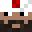Pytor13's head