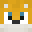 ZainDaZebra_pro's head