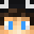 ItsFireFrox's head