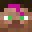 Robustarganz's head