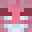 VivexPL's head